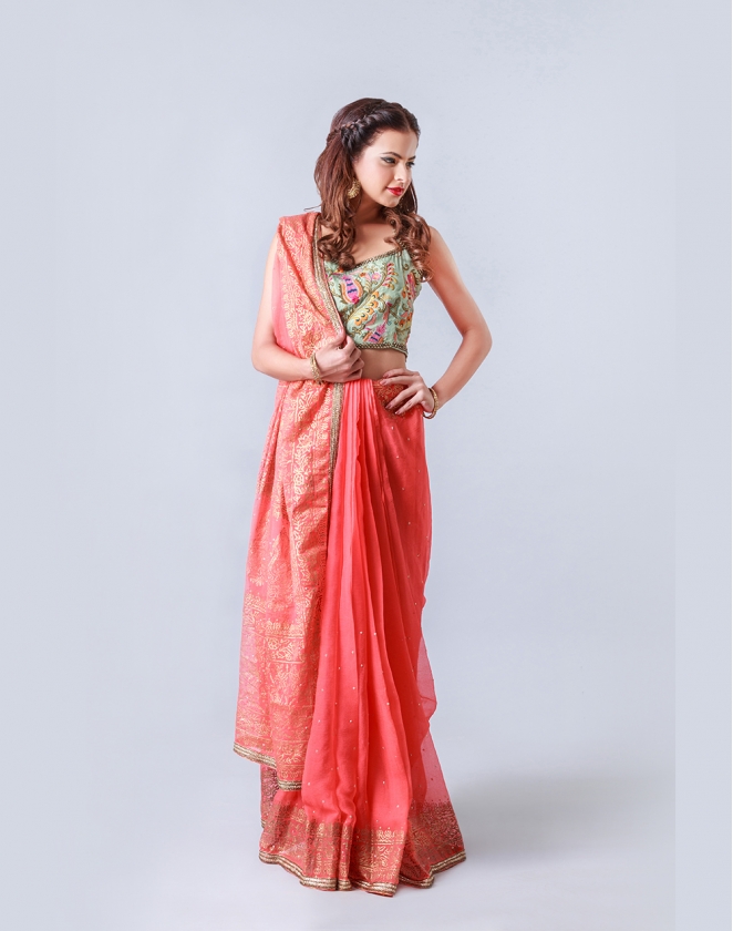 Embroidered blouse with block printed saree F-117